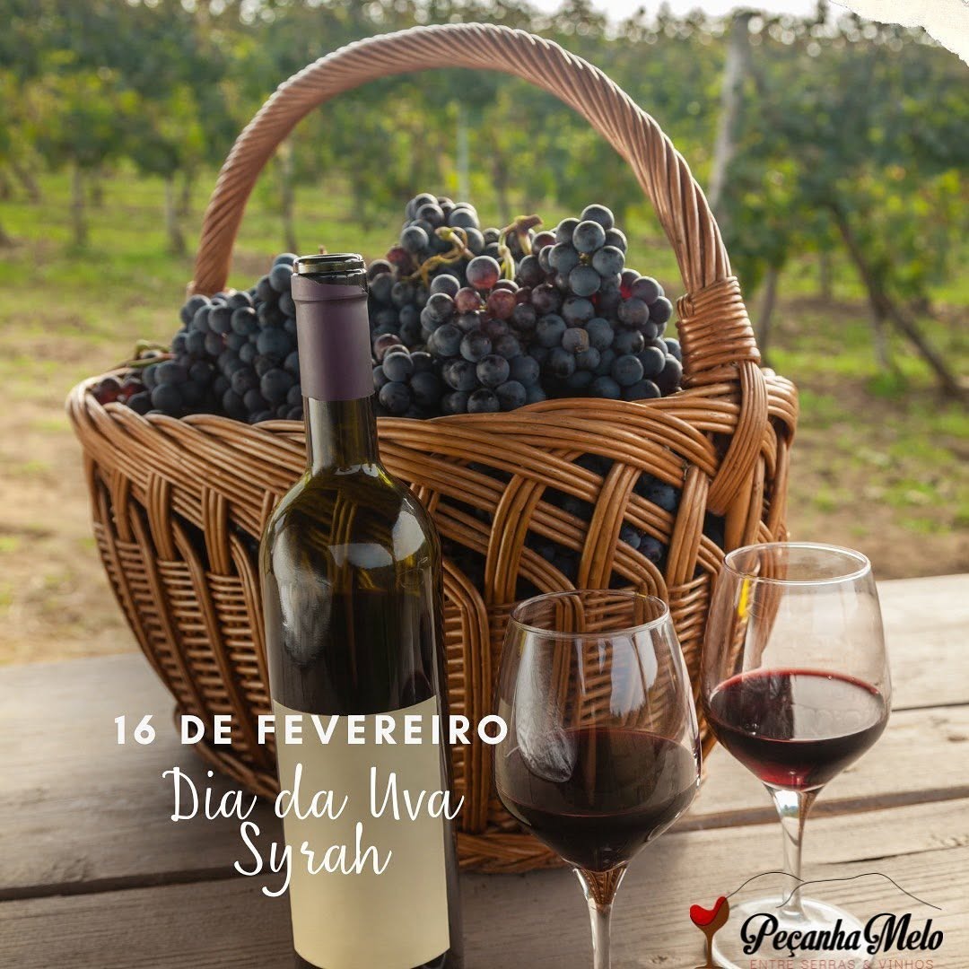 Vinhos